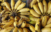 Banánová bábovka